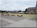 The Tadcaster Bowling Club on St Joseph