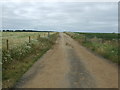 Farm track off Lincoln Road Nocton