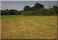 Field near Longwell Green