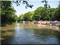 Ashby Canal: Wykin Marina