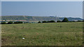 View over pasture towards the Cement Works and the Westbury White Horse