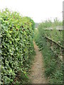 Footpath - Trough Well Lane