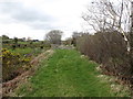 Causeway along the northern edge of  Roughan Bog