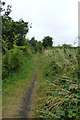 Along the rail trail