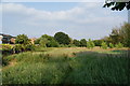 Grassland on the edge of Alkrington