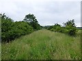 Public bridleway heading for Newton Low Steads Farm