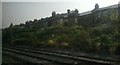 Brockley: houses on Kneller Road, from the railway