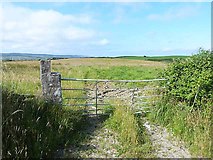R0998 : Gateway and field at Lurraga by Oliver Dixon