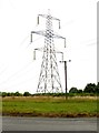 An electricity pylon in a field