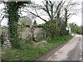 Ruined cottage on Drumarkin Road