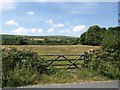 Field adjoining minor road between Throwleigh and South Zeal