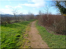 SO5922 : Track at the southern edge of Ross-on-Wye by Jaggery