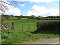 Fields above Carrive Road