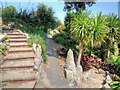 Ventnor Botanic Garden, Steps to South African Terrace