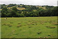 Farmland in the Escley valley