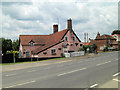 The Parrot and Punchbowl