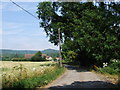 Lane leading towards Great Cossington