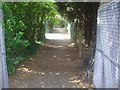 Path from Fryent Country Park to The Mall, Wembley Park