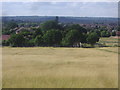 View across Kenton from Fryent Country Park