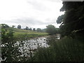 River Ribble southeast of Borrins