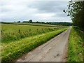 NO4604 : The road from Rires to Sprattyhall farm by Richard Law