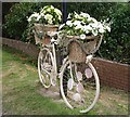 Flower baskets at Pittenweem