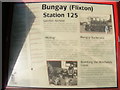 TM3186 : Bungay (Flixton) Station 125 Information Board by Geographer