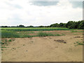 Arable fields south of Eastbridge Farm