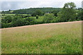 Farmland above Hardwicke