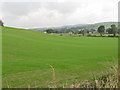 Cultivated grass on a drumlin slope off Herons Road, Leitrim