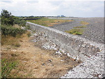 ST2545 : Old flood defence wall, Bridgwater Bay by Roger Cornfoot