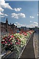 Blooming Bus Station