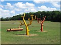 Steel Climbing Trees, West Glebe Park