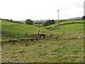 The V-shaped valley of the Leitrim River downstream of Fry