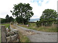 Roadway leading to Knockchree Forest