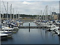 Chatham Marina and pontoon