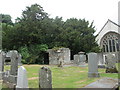 The Fortingall Yew