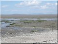 ST2547 : Stert Flats at low tide by Roger Cornfoot