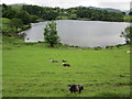 NY3404 : Loughrigg Tarn from a path to the east by Peter S