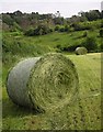 Bales south of Haye