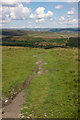 Footpath, Bewerley Moor