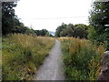 Ebbw Fach Trail heads away from Coalbrookvale, Nantyglo