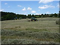 Turning and baling the hay