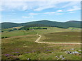 Track on Meikle Firbriggs Hill