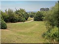 The Path to Coney Green