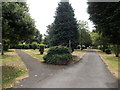 Fork in the path, Central Park, Blaina