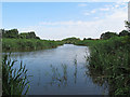 TQ5383 : Berwick Pond, Rainham by Roger Jones