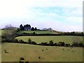 Farmhouse off Drumboniff Road, Cabra