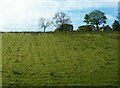 Steep sloping grazing land and a cottage above the B8 (Hilltown Road)