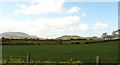 View south across farmland towards the hills of the Ring of Gullionn